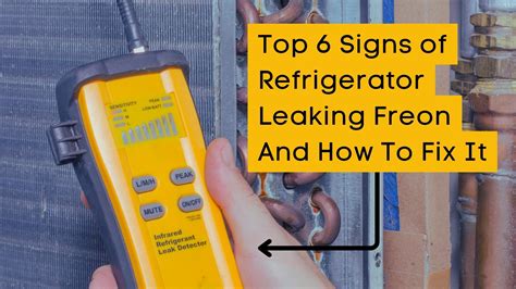 freon leak freezer|Refrigerator Freon Leak: Detect & Fix In Under 20 Minutes